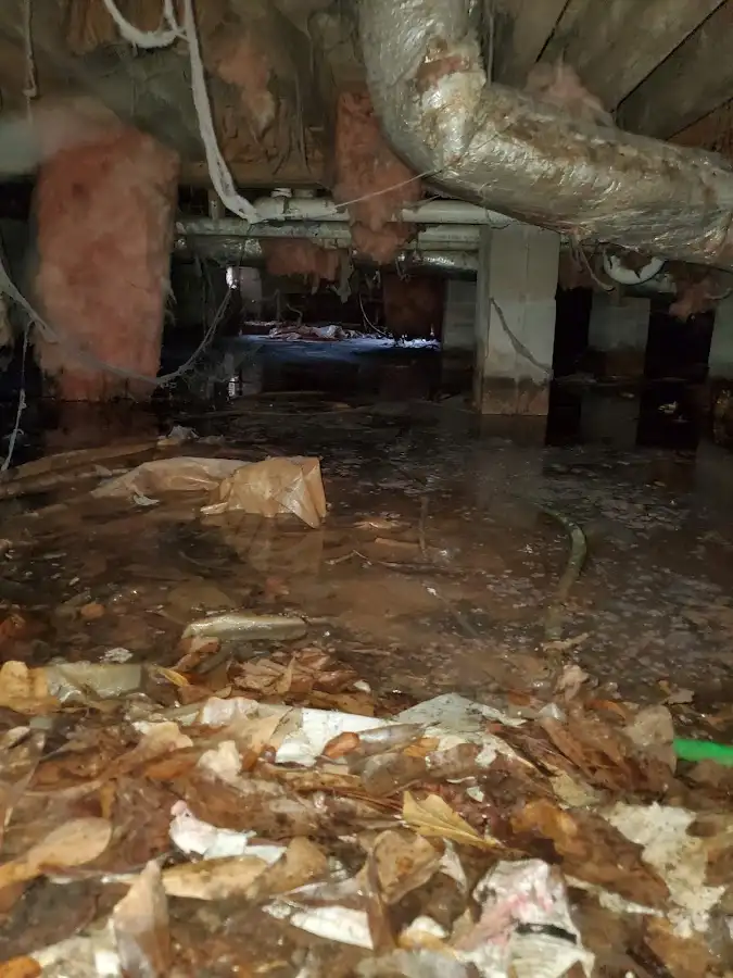 Crawl space flood assessment for Commercial Water Damage Restoration in Whitney