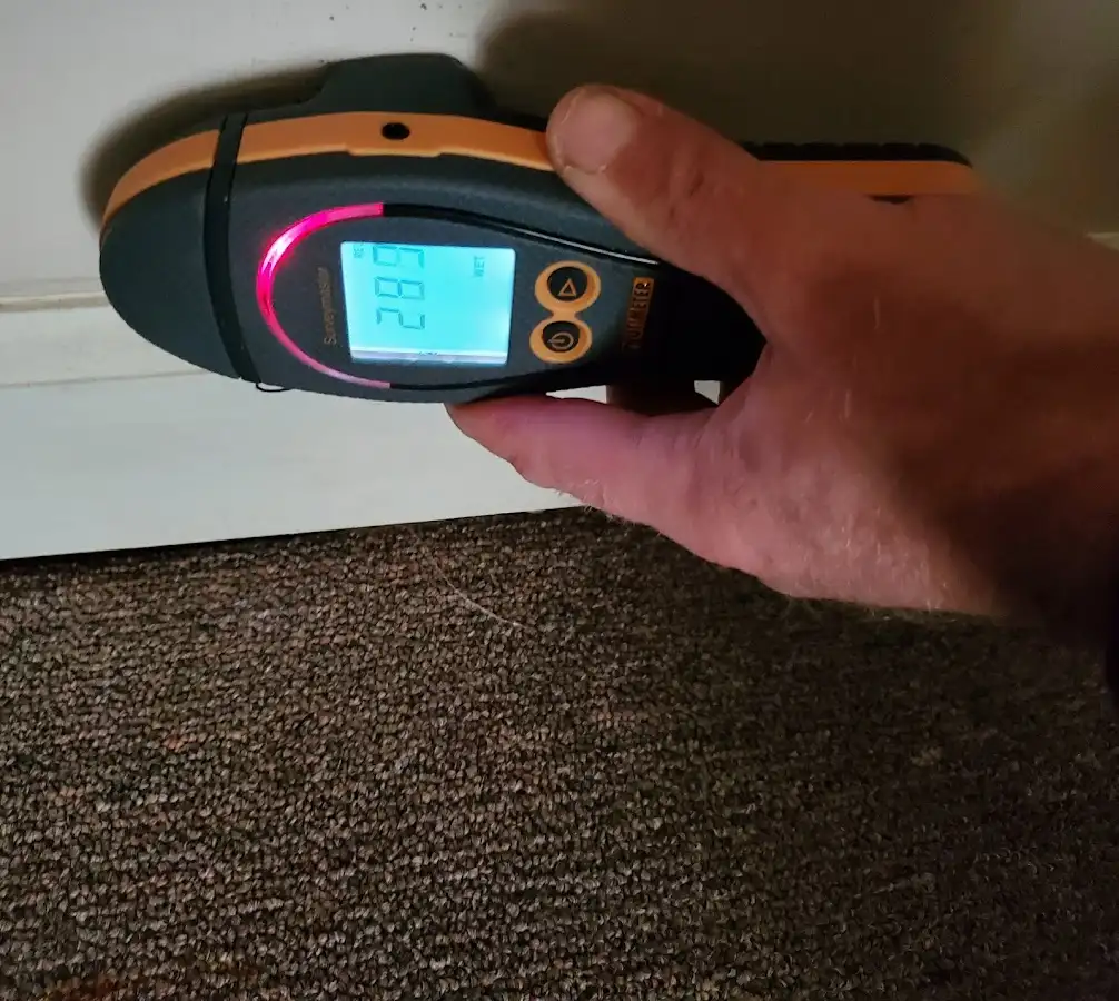 Moisture detection at baseboard during Burst Pipe Cleanup in Whitney